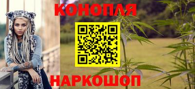 скорость Новозыбков