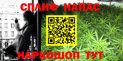 скорость Новозыбков