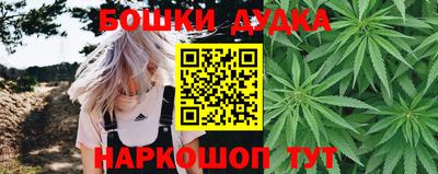 дмт Нальчик