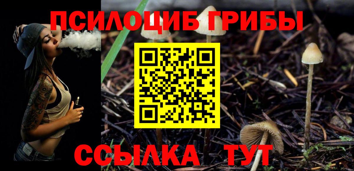 Спасск-Дальний  Галлюциногенные грибы Magic Shrooms  Вход с VPN 