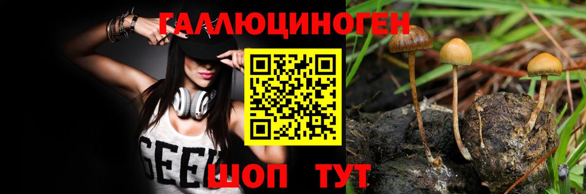 Галлюциногенные грибы прущие грибы Спасск-Дальний